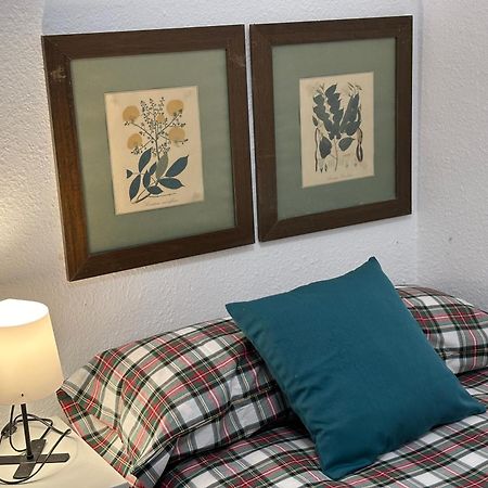 Amplio Y Luminoso Apartamento En El Centro De Grenada Zewnętrze zdjęcie